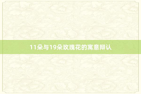 11朵与19朵玫瑰花的寓意辩认