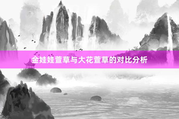 金娃娃萱草与大花萱草的对比分析